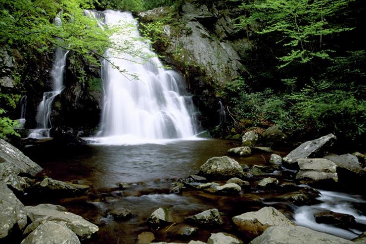 USA  ZDJECIA - Smoky Mountains Waterfall, Tennessee.jpg