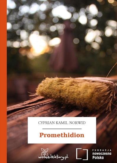 Promethidion 150 - cover.jpg