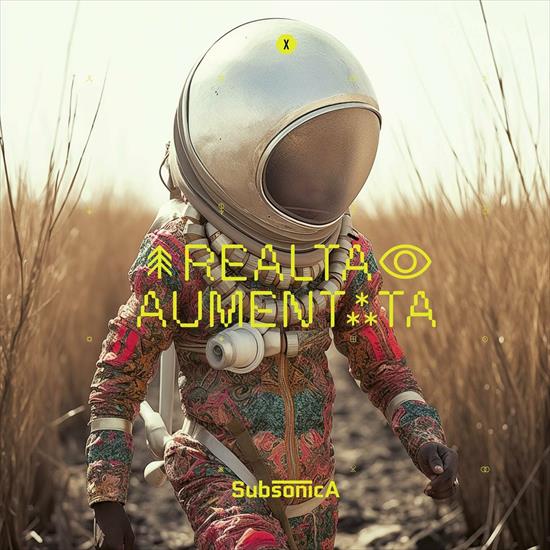 Subsonica -  Realt aumentata 2024 - front.jpg