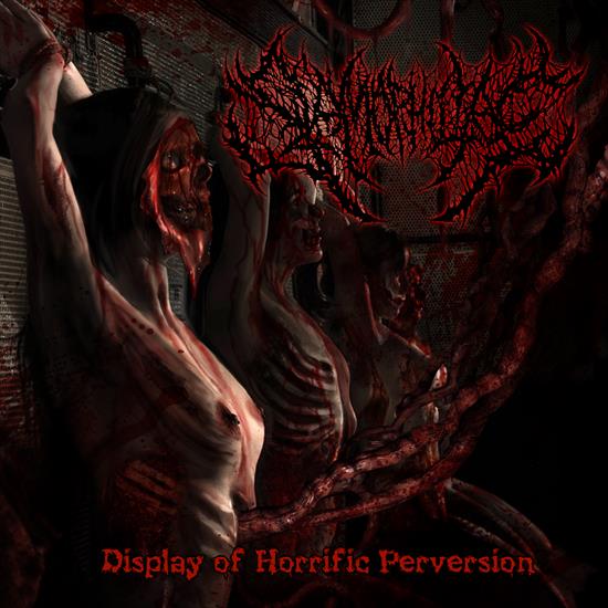 2015 - Display of Horrific Perversion Instrumental Version - Cover.jpg